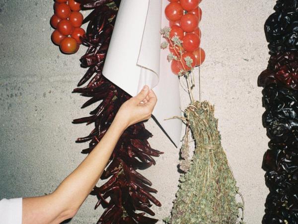 CANVIS AL FOLLIA DE POT