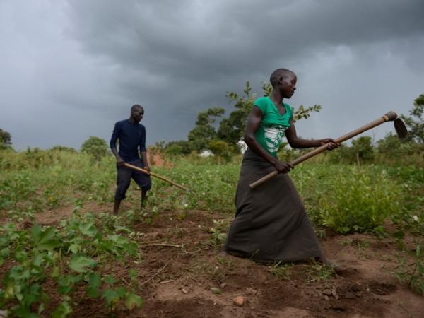 07_ARM6830 agendas.jpg