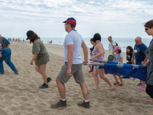 El dofí Ulisses necessita ajuda!