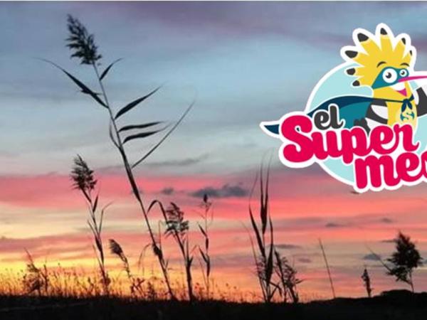 Nit de jocs familiar ACTIVITAT NOCTURNA