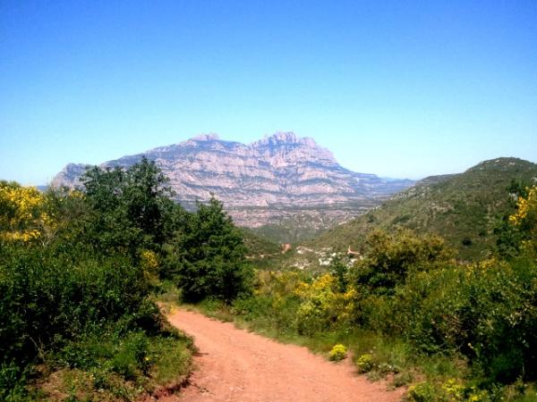 2013-06-03 11.35.32millorada.jpg