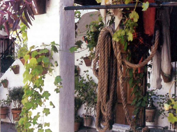 Celebración del Día de Andalucía en Cornellà