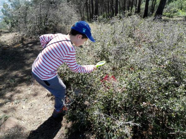 2017-03-19 12.01.21 1.jpg