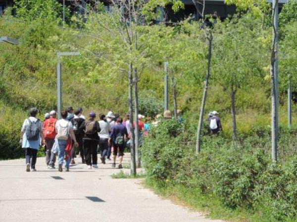 Itinerari patrimonial Cami de Can Dimoni