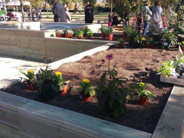 Vols conèixer quines papallones podem trobar als parcs del Prat ?