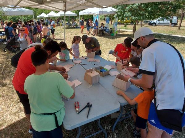 Setmana de la natura: Construcció de caixes nius