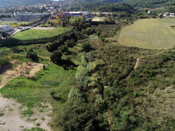 Sortida guiada: Riera de Can Soler, els boscos a tocar de casa