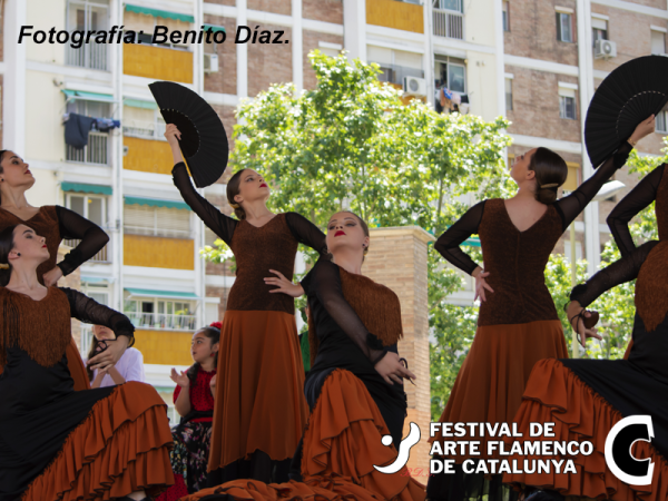 Las academias bailan