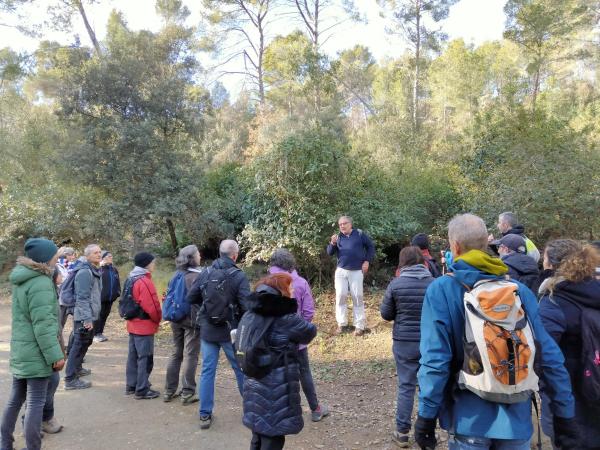 Visita guiada a l’Entorn Forestal de Sant Boi: Les plantes
