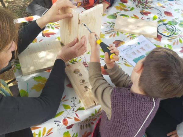 Jugateca del parc Nou: Fem caixes niu i menjadores
