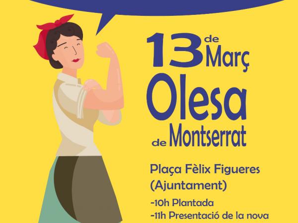 Trobada de gegantes per la igualtat de les dones