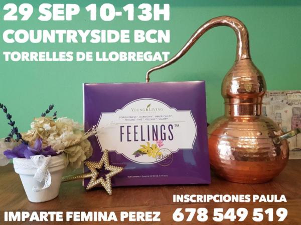 29 SEP Taller Feelings.jpeg