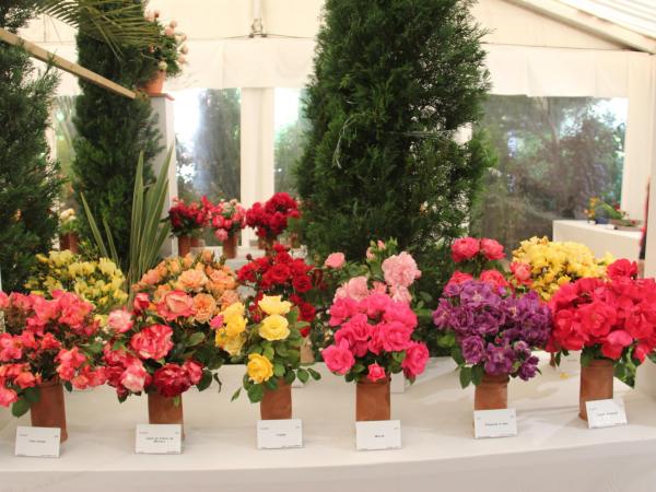 65a Exposició Nacional de Roses