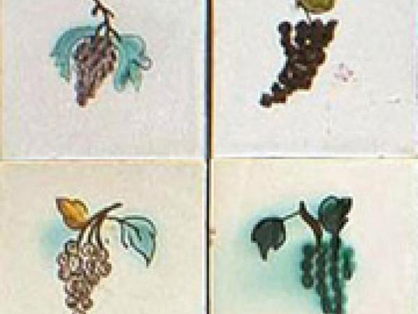 2El clima i el vi.jpg