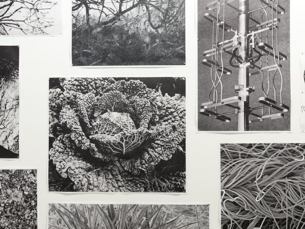 Batia Suter - Parallel Encyclopedia #2 Extended [detall] 2018 Foto: Cordegat