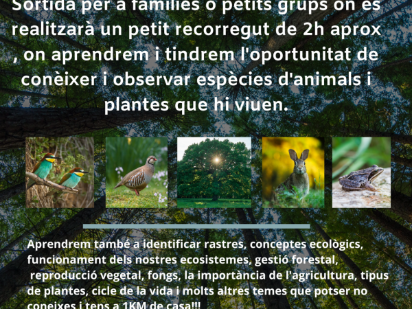 Què viu al nostre voltant?