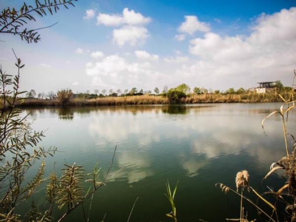 Espais Naturals del Riu - El Prat