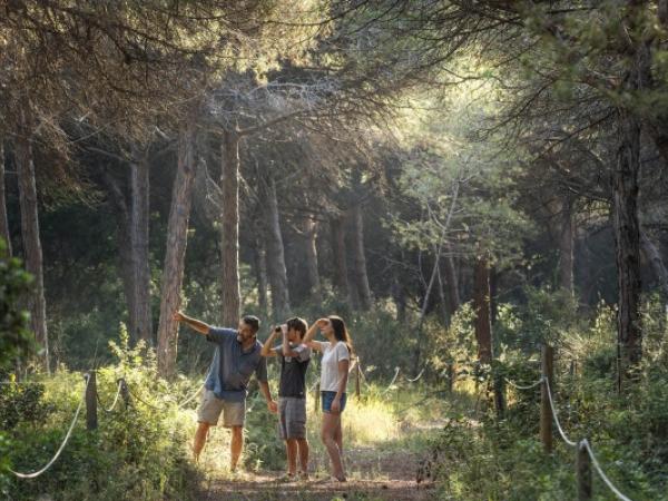 VISITA GUIADA A LA PINEDA DE CAN CAMINS
