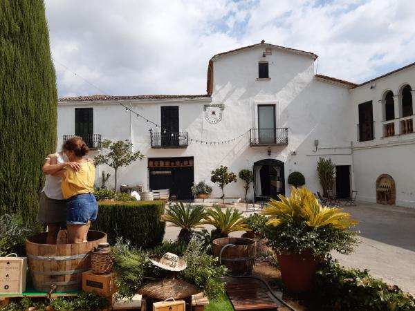 Verema al celler: Esmorzar, visita i trepitjada de raïms