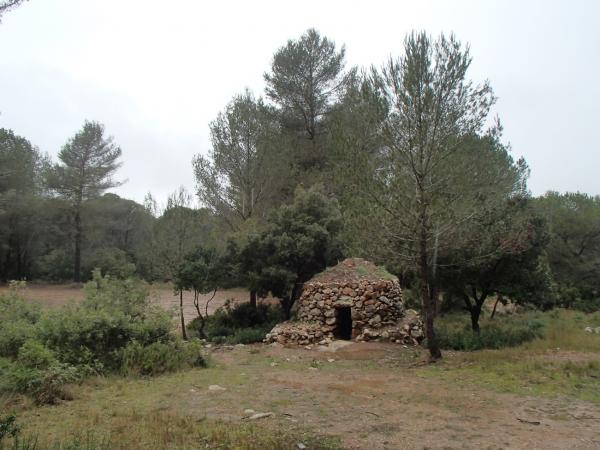 8B BARRACA VINYA PLA D'ARDENYA.jpg