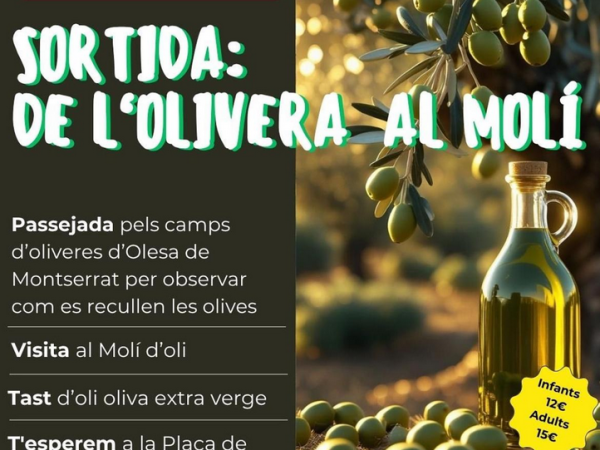 Sortida de l'Olivera al Molí