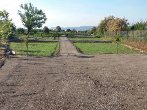 Visita a la Finca de la Marina