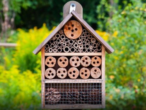 Taller familiar "Fem un Hotel d'Insectes"