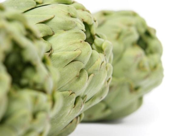 Especial Carxofa Prat 2024