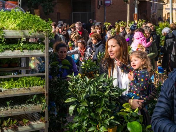 173a Fira de la Candelera