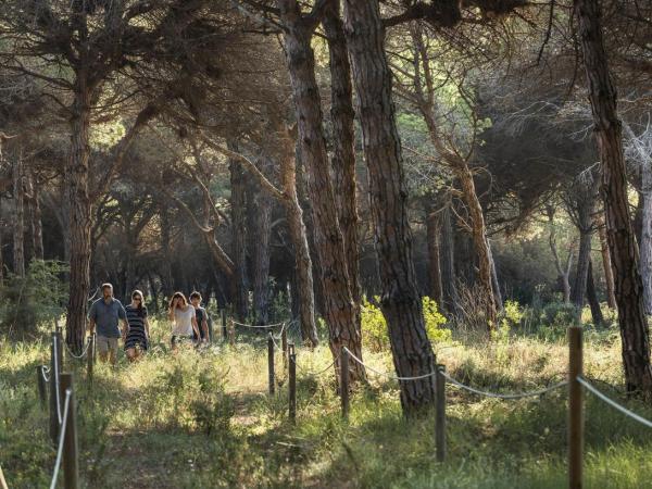 Visita guiada a la Pineda de Can Camins