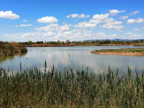 Conferència:El Delta del Llobregat. Actualitat i reptes de futur.