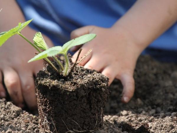 Hora del conte: L'hort de l'avi Rafael