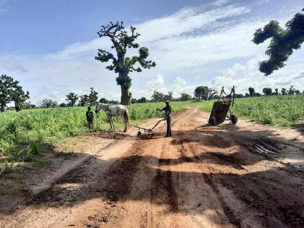 Concert amb "Dreams of Gospel"