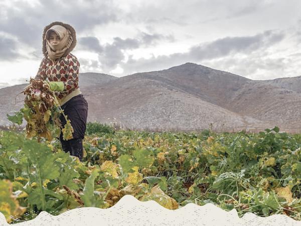 Projecció documental Aamelat. Jornaleres de la Guerra