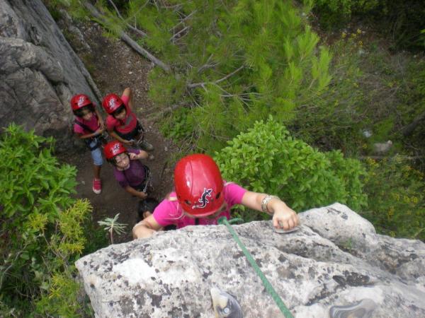 ACCÉS A PLATAFORMA.jpg
