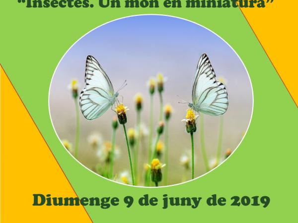 Activitat TALLER insectes.jpg