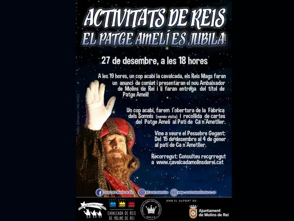 ACTIVITATS DE REIS.jpg