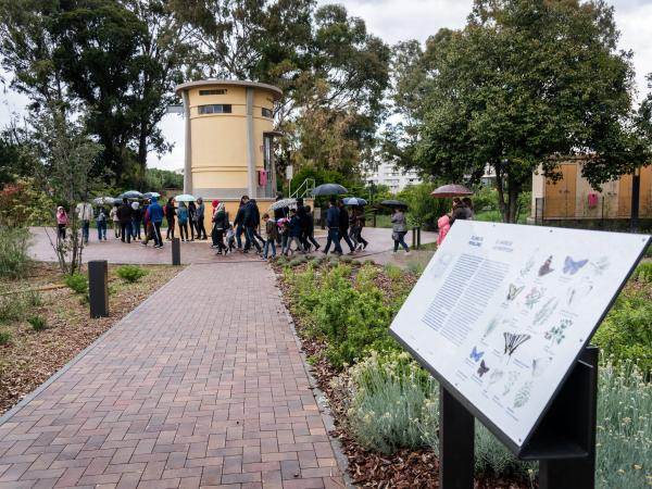 jardí de papallones del Museu de les Aigües