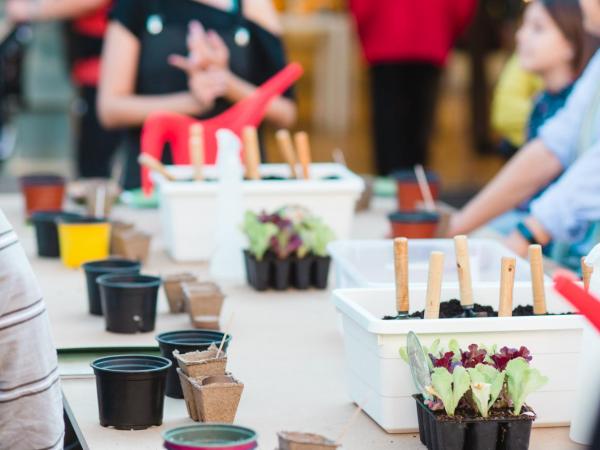 Tallers d’Hort Urbà