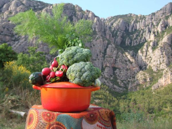 ingredients de cuina saludable amb montserrat al fons