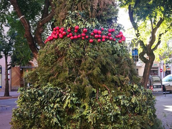 Arbre plaça Ajuntament.jpg