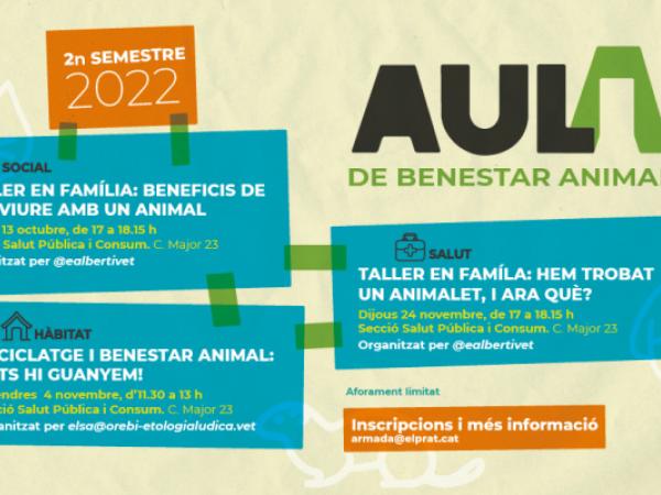 Hem trobat un animalet, i ara què?