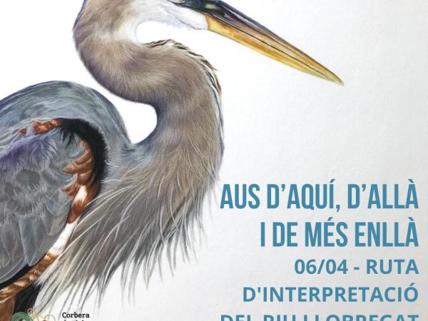 Aus d'aquí, d'allà i de més enllà