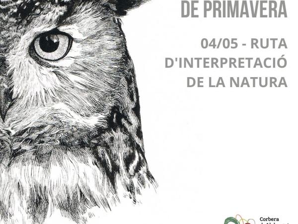 Bosc i Ocells de Primavera