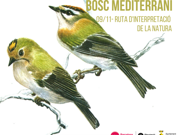 Aus Autòctones del Bosc Mediterrani