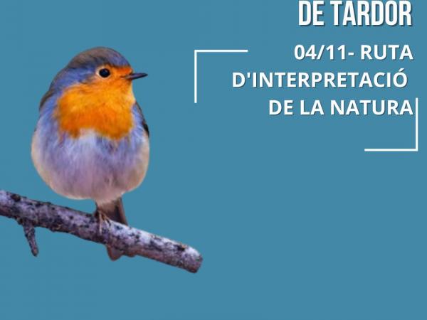 Bosc i ocells de tardor 