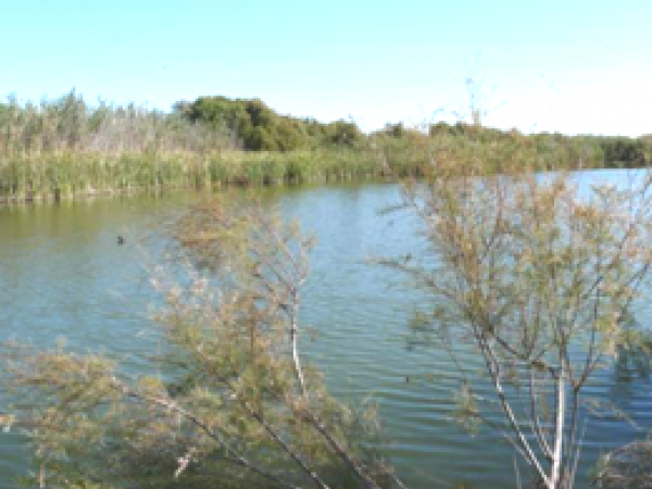 basses can dimoni.png