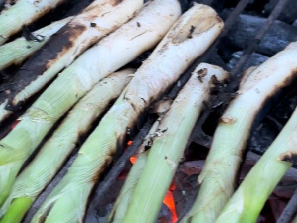 Visita i Calçotada al Celler