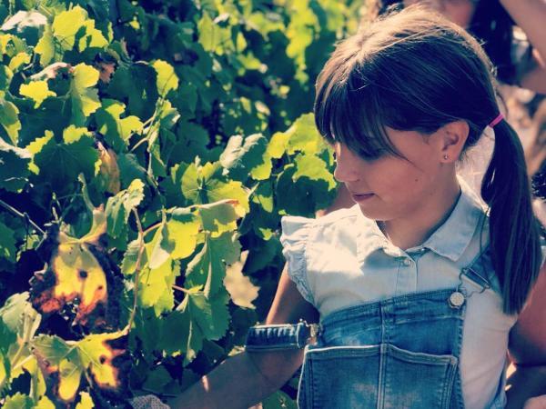 Esmorzar de verema a Finca Ca n'Estella