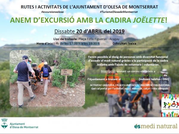 cadira joëlette.jpg